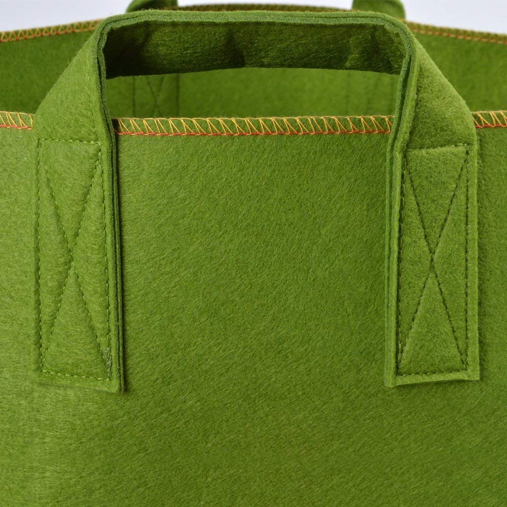 1gal-green-3.jpg 1gal-green-3.jpg