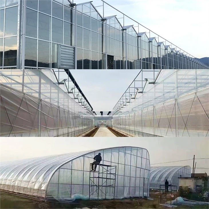 Customize Big Size Greenhouses